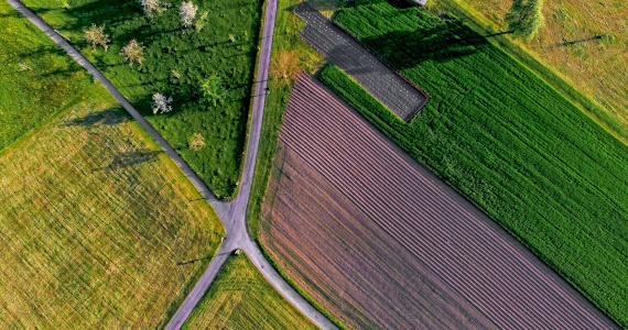 PARC (Agribusiness Accelerator)